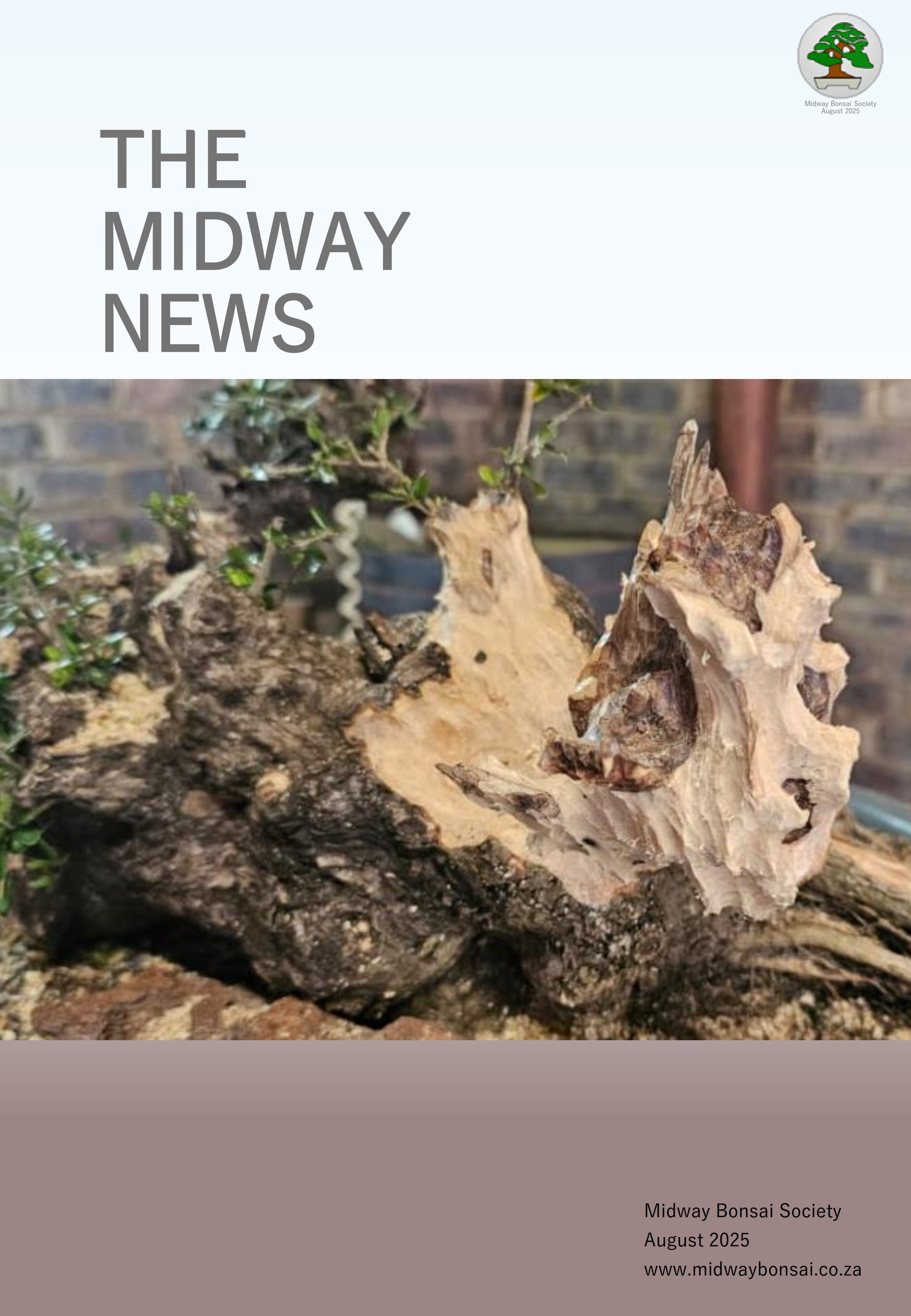 BonsaiNewsletterAug2025