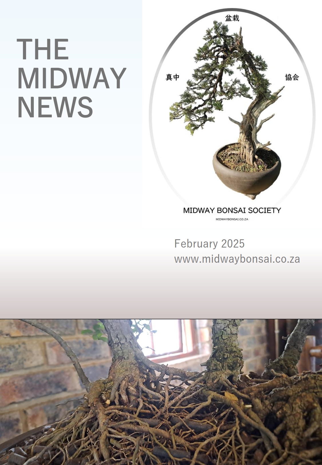 BonsaiNewsletterFeb2025
