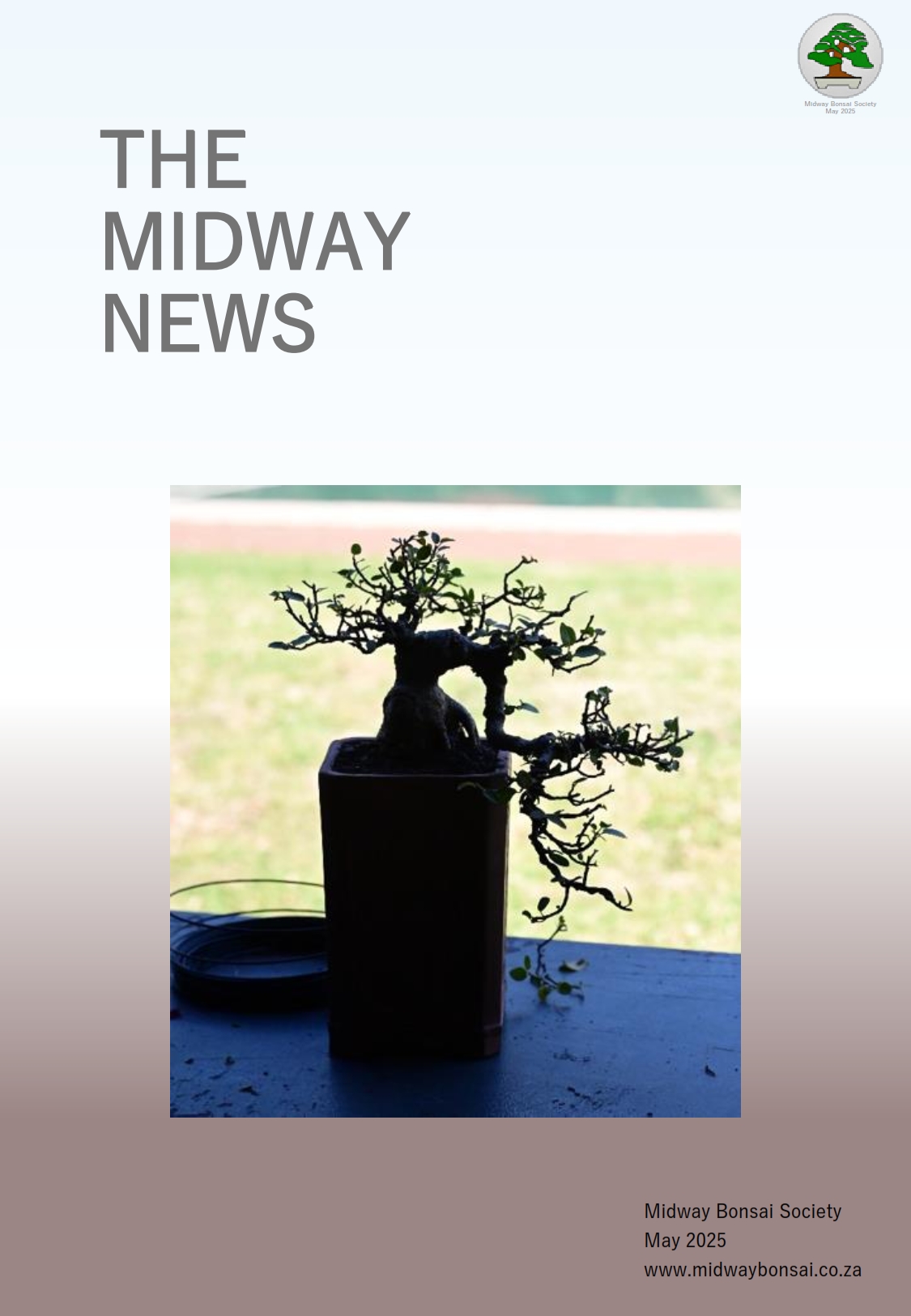 BonsaiNewsletterMay2025