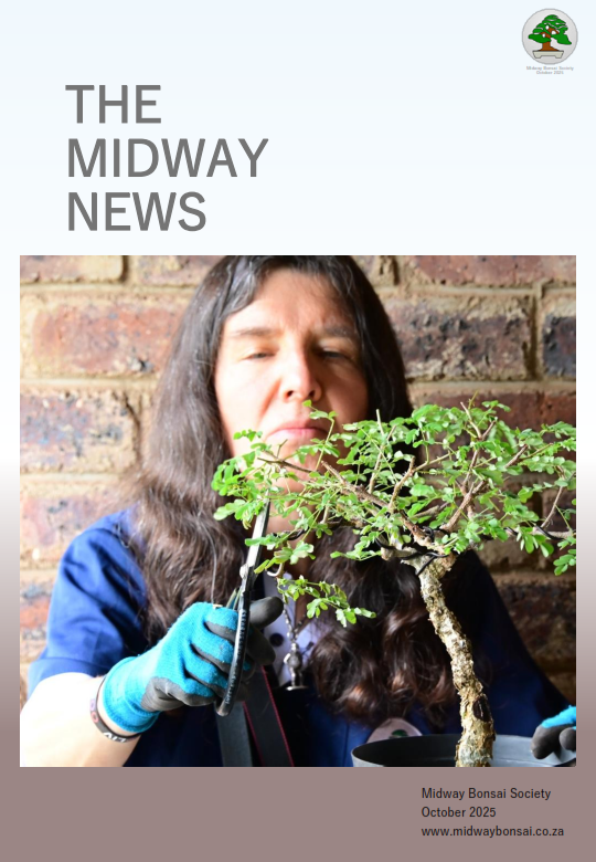 BonsaiNewsletterOct2025